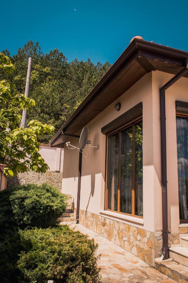 Rogachevo Dream House Villa Exterior photo